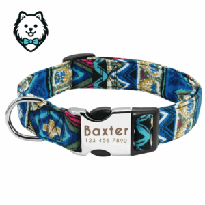 collier chien personnalisé et gravé