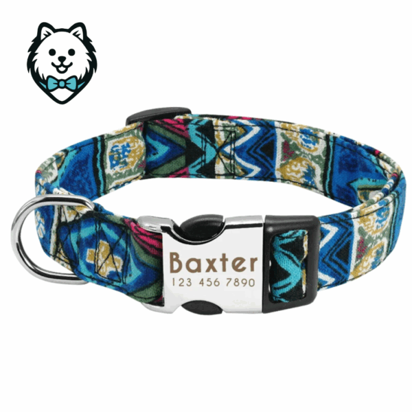 collier chien personnalisé et gravé