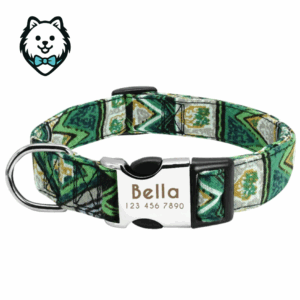 collier chien personnalisé et gravé
