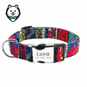 Collier chien personnalisé et gravé