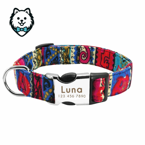 Collier chien personnalisé et gravé