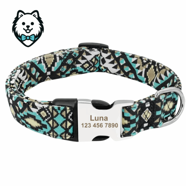 Collier chien personnalisé et gravé
