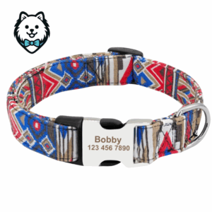 Collier chien personnalisé et gravé
