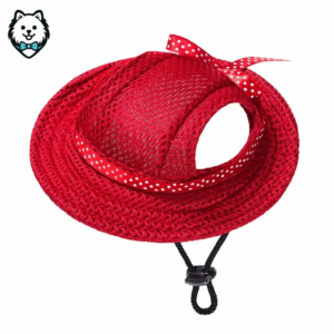 Chapeau bob original pour chien spitz