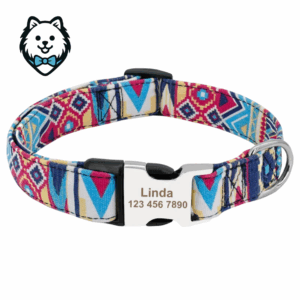 Collier chien personnalisé et gravé