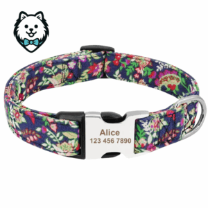 Collier chien personnalisé et gravé
