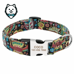 Collier chien personnalisé et gravé