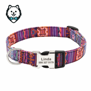 Collier chien personnalisé et gravé