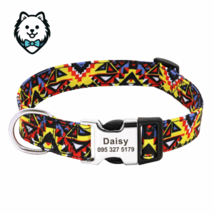 Collier chien personnalisé et gravé