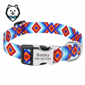Collier chien personnalisé et gravé