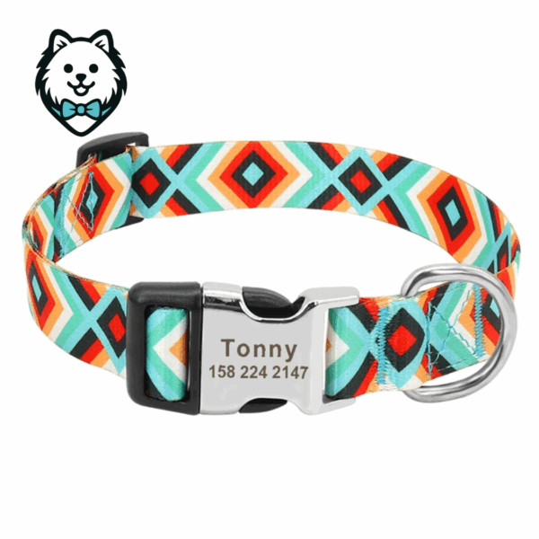 collier chien personnalisé et gravé