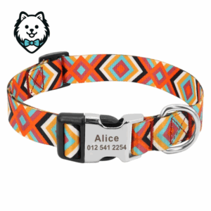 Collier chien personnalisé et gravé