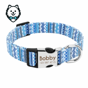 Collier chien personnalisé et gravé