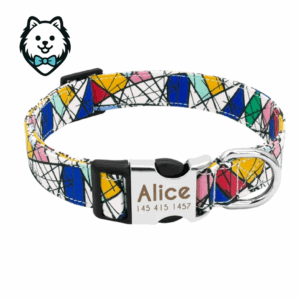 Collier chien personnalisé et gravé