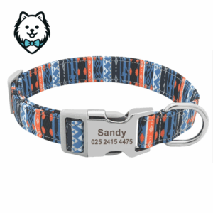 Collier chien personnalisé et gravé