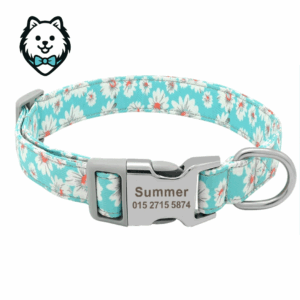 Collier chien personnalisé et gravé