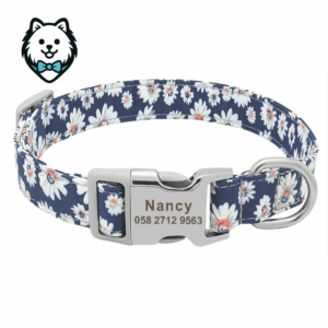 Collier chien personnalisé et gravé