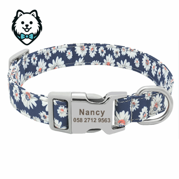 Collier chien personnalisé et gravé