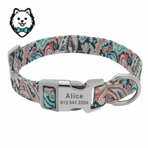 Collier chien personnalisé et gravé