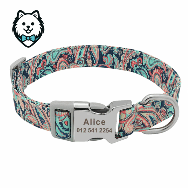 Collier chien personnalisé et gravé
