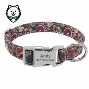Collier chien personnalisé et gravé