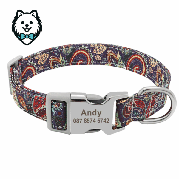 Collier chien personnalisé et gravé