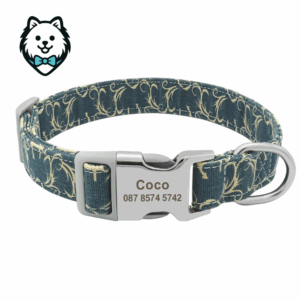 Collier chien personnalisé et gravé