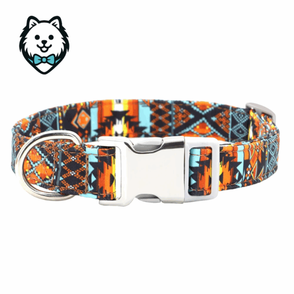 Collier chien personnalisé et gravé