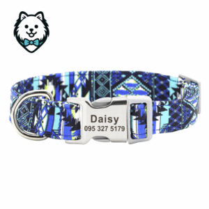 Collier chien personnalisé et gravé