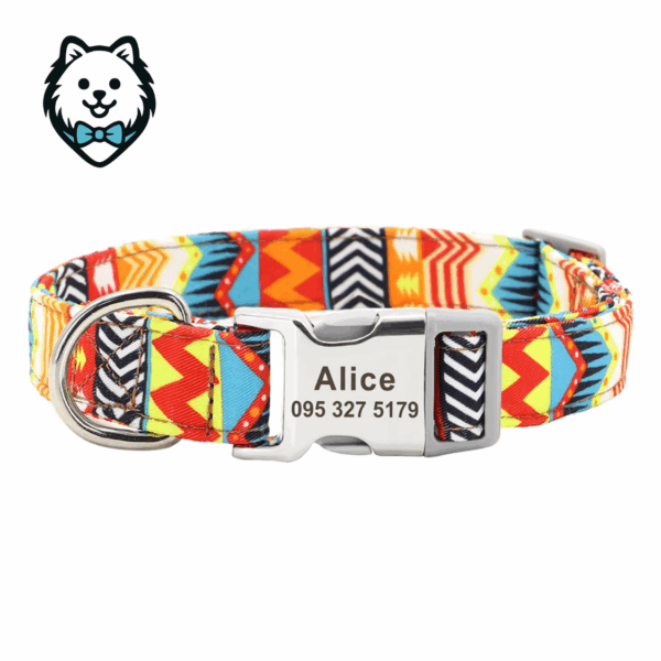 Collier chien personnalisé et gravé