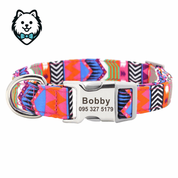 Collier chien personnalisé et gravé