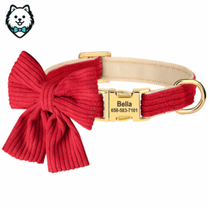 Collier personnalisé pour chien avec grand nœud papillon