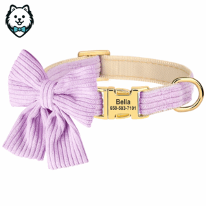 Collier personnalisé pour chien avec grand nœud papillon