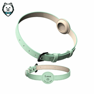 Collier pour chien AirTag personnalisé, Compatible Apple, idéal petit chien