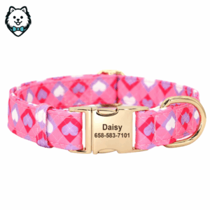 Collier pour chien personnalisé et gravé