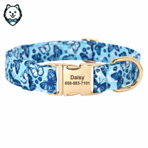 Collier pour chien personnalisé et gravé