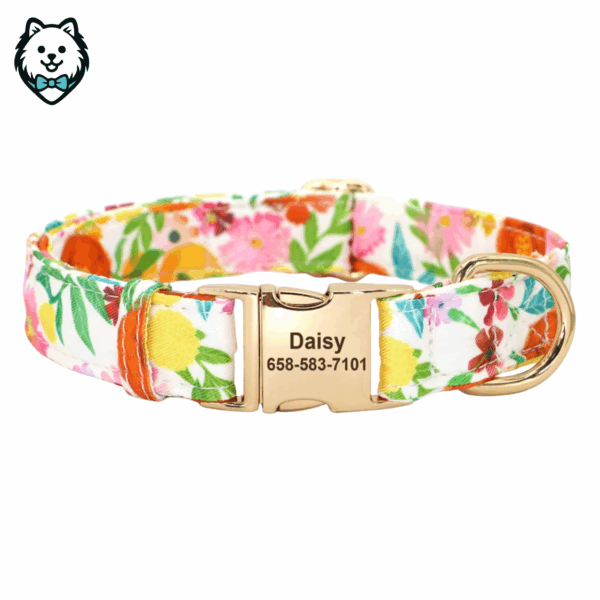 Collier pour chien personnalisé et gravé
