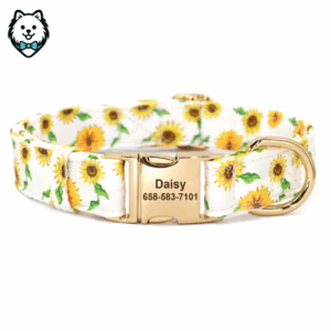 collier pour chien personnalisé et gravé