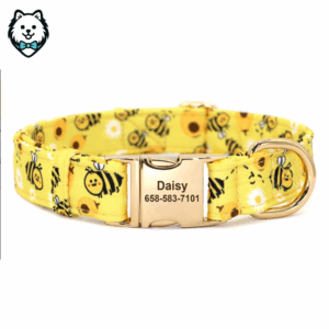 Collier pour chien personnalisé et gravé