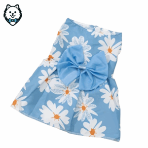 Robe pour chien spitz & Loulou de Poméranie