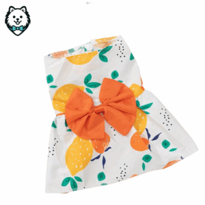 robe pour chien spitz & loulou de poméranie