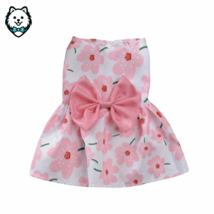 robe pour chien spitz & loulou de poméranie