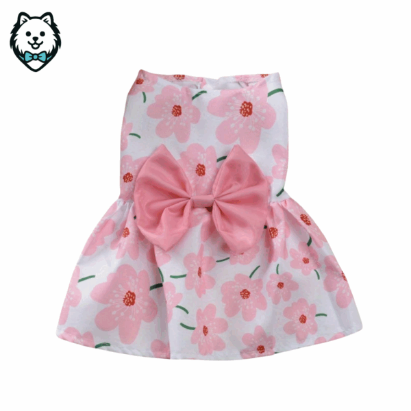 robe pour chien spitz & loulou de poméranie