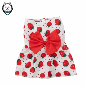 robe pour chien spitz & loulou de poméranie