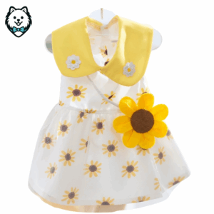 Robe de princesse pour Spitz & loulou de Poméranie