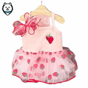 robe de princesse pour spitz & loulou de poméranie