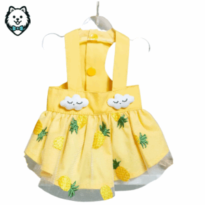 robe de princesse pour spitz & loulou de poméranie (copie)
