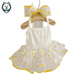 robe de princesse pour spitz & loulou de poméranie (copie)