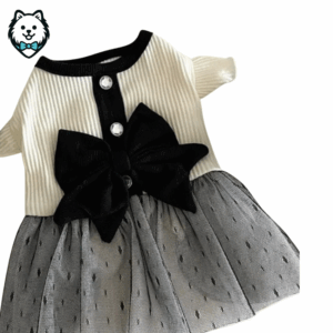 robe de princesse pour spitz & loulou de poméranie