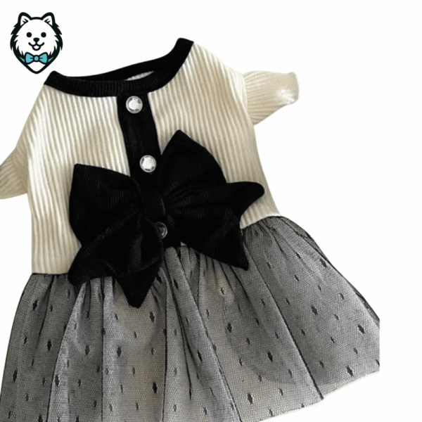 robe de princesse pour spitz & loulou de poméranie